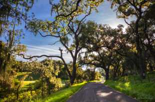 Alisal Road-0479 Alisal Road-0479